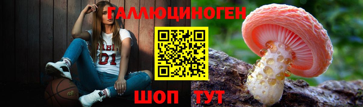 Псилоцибиновые грибы MAGIC MUSHROOMS  Вход с VPN  Старая Купавна 
